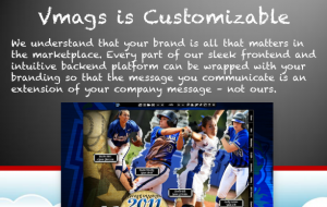 vmagscustomizeble vmagscustomizeble 300x190 Our Services